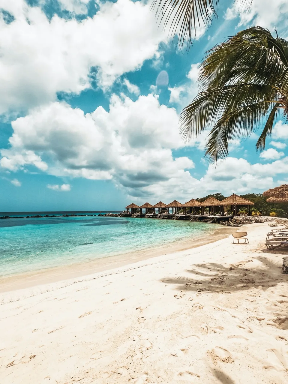 Palapas and a leaning palm above the calm turquoise water of an Aruba beach.