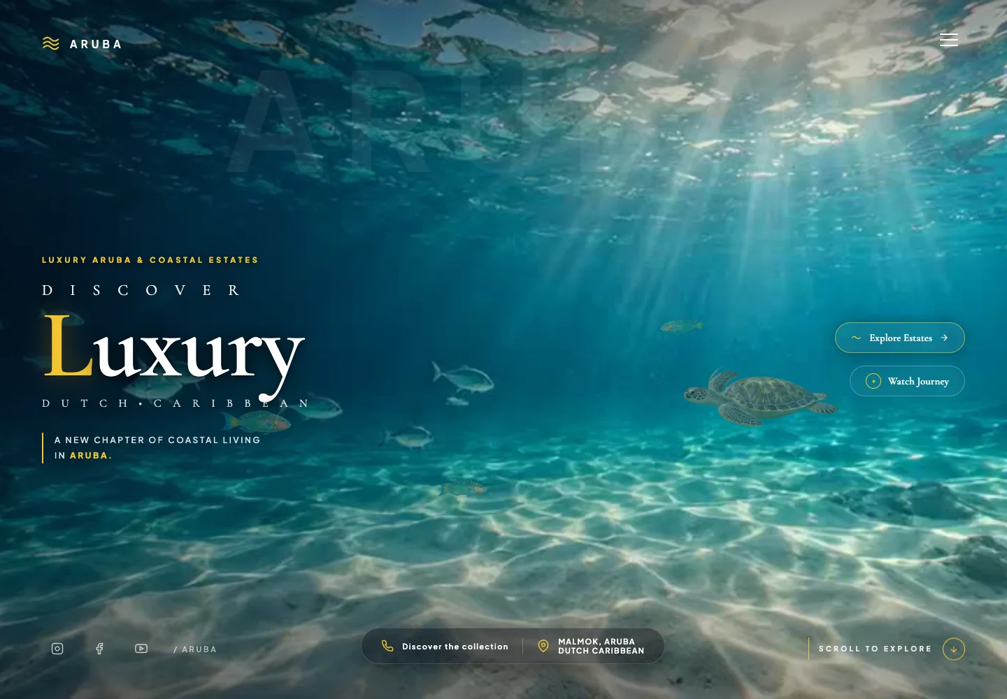 Aruba residence website concept