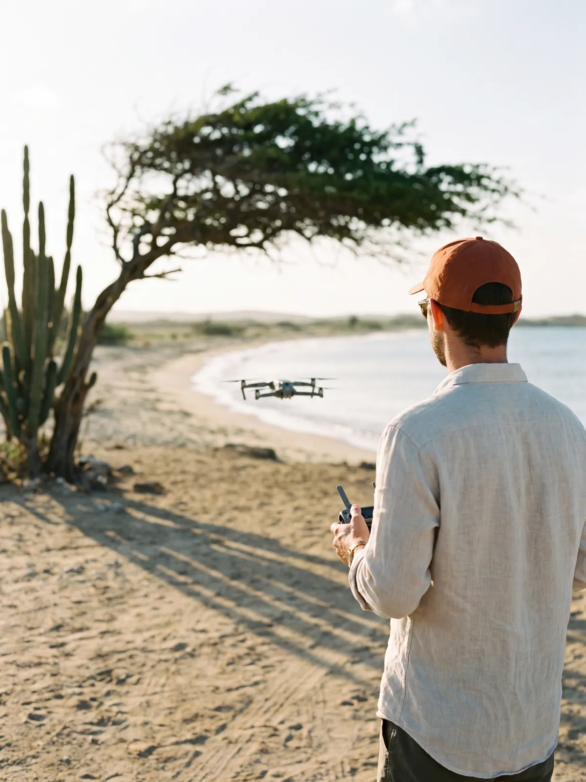 A drone pilot in an orange cap flying a small drone over an Aruba shoreline beside a divi-divi tree and a cactus.
